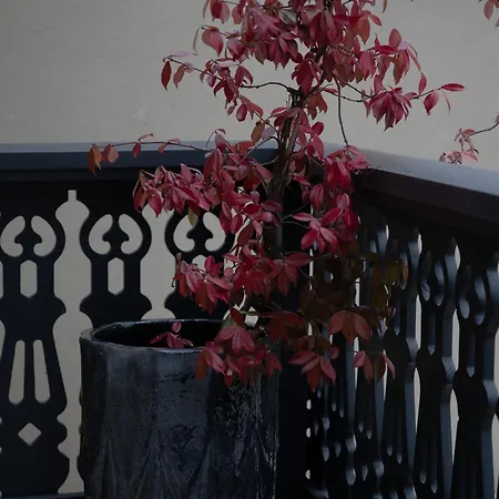 Liska Prázdninový dům *