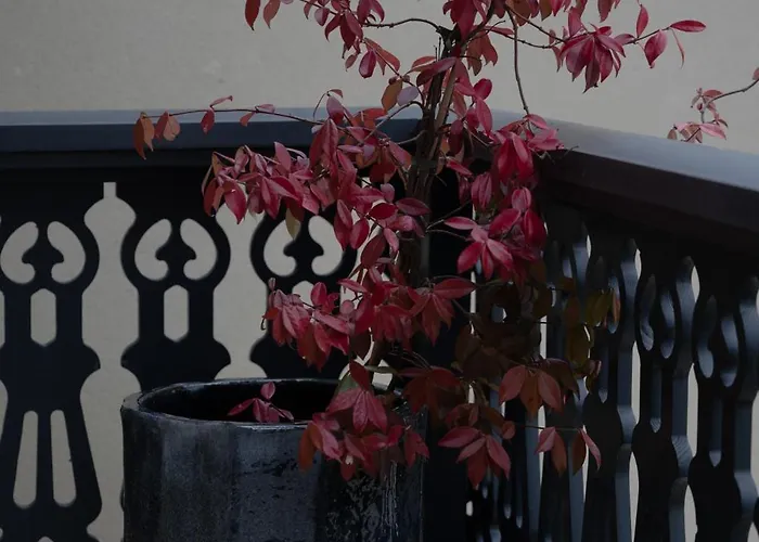 Liska Dom wakacyjny *